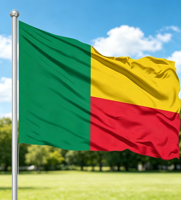 Drapeau national du Bénin 3x5FT en polyester durable avec 2 œillets métalliques en laiton pour la décoration d'événements en extérieur