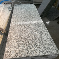 Pierre de pavage d'extérieur, carrelage en granit gris clair, G602, pas cher, livraison gratuite en chine