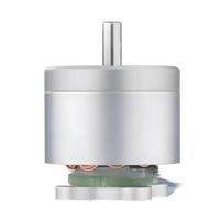 Moteur BLDC JSLIS pour drones selfie, mini-drones, machines à voyager dans le temps, ventilateurs portatifs, tournevis électriques