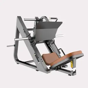 Best Import Commercial Exercise Shandong Hot Sales Wholesale Gym Equipment Exercise Machine F56 Leg Press