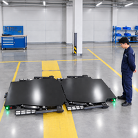 Robot Kendaraan Pengangkut Tanpa Awak (AGV) Bebas Rel untuk Proyek Parkir Cerdas