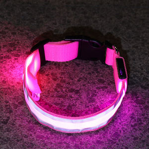 Batería brillante perro Collar LED mascota Collar intermitente luminoso Nylon Simple clásico noche seguridad collar brillo oscuro - Product Image 4