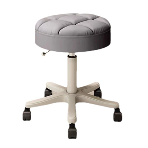 2025 Daisy Salon Furniture Beauty <b>Stool</b> Nail Barber Shop Hairdressing Salon Chair Rotating Lifting <b>Round</b> <b>Stool</b> Pulley Salon - Product Image 2
