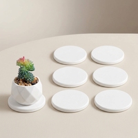 Plateau de séchage multifonctionnel en diatomite écologique, rond, pour cuisine, tasses, vaisselle, savon, accessoire de salle de bain, durable