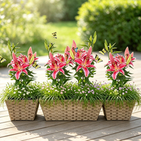 Jardinière rectangulaire en rotin PE avec double panier et pot intérieur amovible pour jardin et balcon