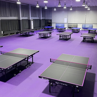 Tapis de terrain en PVC pour sports d'intérieur pour tennis, badminton, tennis de table, pickleball, basket-ball, football, volley-ball