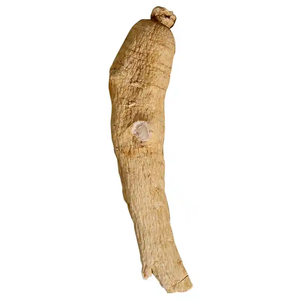 Herbes chinoises de haute qualité <span class=keywords><strong>Xi</strong></span> Yang Shen : Tonifie le <span class=keywords><strong>Qi</strong></span>, nourrit le Yin, élimine la chaleur et génère des fluides. - Product Image 6