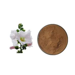 Herbasea Leveren Groothandel Natuurlijke Water Oplosbare Marshmallow Wortel Extract Poeder Althaea Rosea Extract