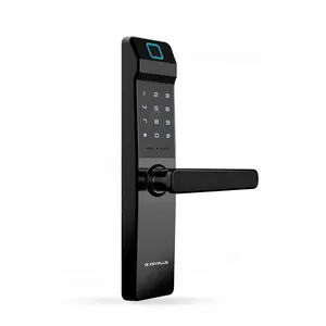Manufacturer NFC Padlock App Password Login Commercial Handle Lock Smart Door Lock