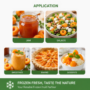 Abricots surgelés IQF, carton de 10 <span class=keywords><strong>kg</strong></span> |   Certifié BRC HACCP |   Approvisionnement en gros de fruits surgelés - Product Image 6