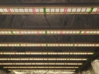Samsung LM301H 281B éclairage à spectre complet pour plantes 240W 320W 500W 650W 720W lumières LED commerciales poussent pour la croissance en intérieur