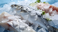 Machine à glace en flocons industrielle refroidie à l'eau de 3 tonnes, fiable et efficace