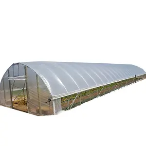 Foshan Kunyu Customized Size Single Span Vegetable Garden Greenhouse