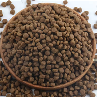 Nourriture sèche pour chats en gros, formule personnalisée, nourriture sèche pour animaux de compagnie de haute qualité et nutritive pour chats de tous âges