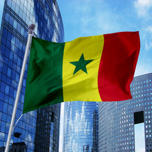 Bandera de Senegal con Mangas de Chal para el Partido de Fútbol 2026, Banderas Senegalesas de 3x5 Pies, Bandera para Ventana Exterior y Pancarta para Cubrir el Automóvil - Product Image 3