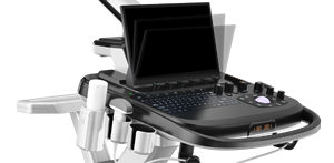 Équipement vétérinaire <span class=keywords><strong>EUR</strong></span> VET en promotion : Système d'échographie vétérinaire, Scanner d'échographie pour animaux sur chariot, Échographie Doppler - Product Image 6