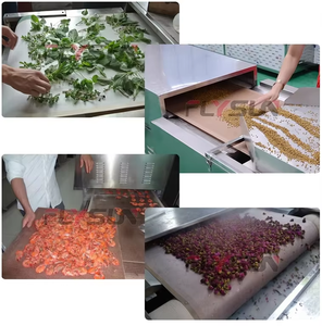 Máquina de liofilización al vacío de guayaba que ahorra trabajo Flysun Equipo de liofilización de melocotones Máquina secadora de frutas - Product Image 3