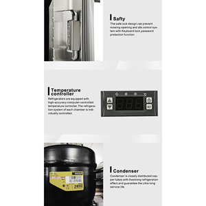 YF-STG9 nove forniture funebri Premium per congelatore mortuario - Product Image 5