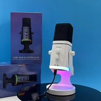 Mikrofon Gaming Dinamis Ringan RGB-800 dengan Pencahayaan RGB Konektor Tipe-C XLR untuk Rekaman Studio Audio Profesional