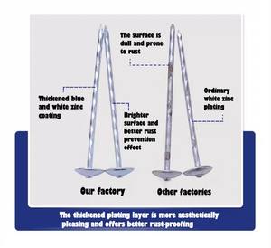 2,5 Zoll 3 Zoll 3,5 Zoll Dach Regenschirm Nägel Kappe Nägel Box Regenschirm Zink Dach nägel mit Unter leg scheibe Bolivien Brasilien Chile Markt - Product Image 3