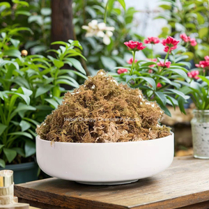 Giữ Ẩm Dinh Dưỡng Phân Bón Hữu Cơ 5A Lớp Hoa Khô Sphagnum Moss Cho Nhà Vườn Nguồn Cung Cấp Tiện Ích - Product Image 1