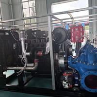 Pompe horizontale haute performance 1000 m³/h pour l'alimentation en eau et l'assainissement, personnalisable OEM