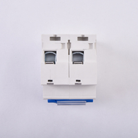 Interruptor de Circuito en Miniatura de Alta Corriente 125A PA66 Tipo C 1P 2P 3P 4P 10kA AC400V para Riel DIN, Interruptor Principal de Entrada Doméstica