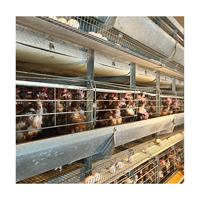 Nouvelle cage à poulets automatique de type H du Shandong, 3 niveaux, 4 niveaux, en acier galvanisé