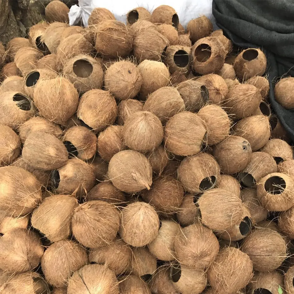 원래 자연 처리되지 않은 100% 천연 내구성 코코넛 그릇