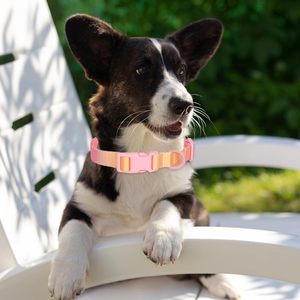 Modisches Farbverlauf-Hundehalsband aus Langlebigem Polyester-Nylon, Hochwertig mit Komfortabler Kunststoffschnalle, Fluoreszierendes Hundehalsband - Product Image 3