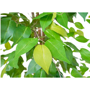 Ficus artificiel Alto Arvore Com Madeira Real Tronco Ficus Bola Arvore Para Decoracao Extérieur <span class=keywords><strong>Intérieur</strong></span> - Product Image 3