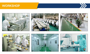 Polvo de probióticos de grado de alimentación de hierbas de otoño <span class=keywords><strong>Enterococcus</strong></span> <span class=keywords><strong>Faecium</strong></span> - Product Image 3