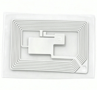 Pasokan Pabrik Chip 70000-00134 untuk Printer Lei CIJ, Chip Tag RFID Pengganti untuk Mesin Pengkodean