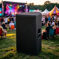 Prix Usine Promotionnel Haut-parleur 15 pouces 500W DSP Classe D en Bois Audio Professionnel pour Bar, Mariage, Conférence, Spectacle de Rue