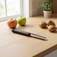 OEM ODM Keukenhulpje Ecologisch PP Handvat Roestvrijstalen Groente- en Appelboor Fruit Schiller voor Thuisgebruik in de Keuken