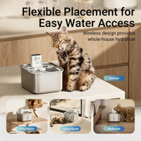 Fontaine à eau intelligente sans fil pour chat, 2,5 L/84 oz, en acier inoxydable et plastique, écologique, durable, portable, encourage la boisson, OEM/ODM