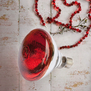 Lampe chauffante infrarouge thermique 220V pour l'incubation des poulets, en parfait état, pour la reproduction, la préservation de la chaleur, le chauffage, la ferme d'élevage, en aluminium - Product Image 2