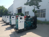 Générateur à gaz WEICHAI Biogaz, Gaz Naturel, GPL et GNL, Type Ouvert, Type Silencieux, Démarrage à Distance, Démarrage Automatique