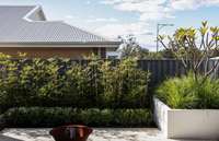 Panneaux de clôture ondulés en acier Colorbond Mur de sécurité populaire en Australie pour les portes et clôtures en treillis de bordure de frontière