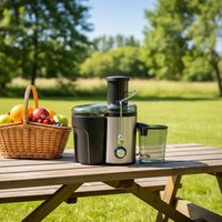 Extracteur de jus d'agrumes à pression lente, machine à jus de fruits frais, mixeurs et extracteurs de jus, presse-agrumes à froid en acier inoxydable