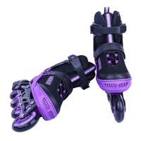 Patins à roulettes ajustables et lumineux, grandes tailles, roues en PU violettes, chaussures de fitness pour l'extérieur, pour enfants et adultes