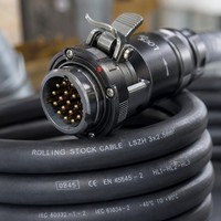 EN45545-2 untuk Kabel Tembaga Berlapis Timah Kemurnian Tinggi dengan Terminal Steker Bundar Tegangan Tinggi, Panjang Dapat Disesuaikan untuk ESS EV