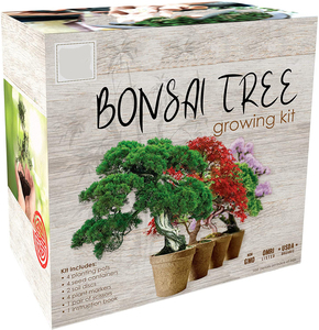 Gardening Accessories Color Box Pulp Cup Coconut Bran Block Sign Tool Set 4 Bonsai Tree Kit