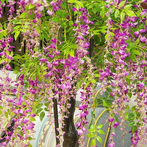 Luwu — grand arbre à fleurs artificielles en soie, décoration de mariage, vente en gros, faux blanc violet, vente, C2101 - Product Image 2