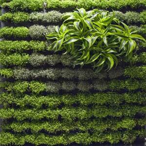 Maceta Colgante de Pared Personalizable, Resistente y Ecológica, Hecha de Tela de Fieltro, para Cultivo de Plantas en Interiores y Exteriores - Product Image 4