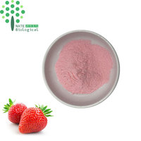 FD Aardbeipoeder of SD Aardbeienfruitpoeder Aardbeienjuicepoeder