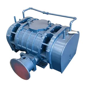 RSR Series Air Blower For Aquaculture Aeration Blower Equipment