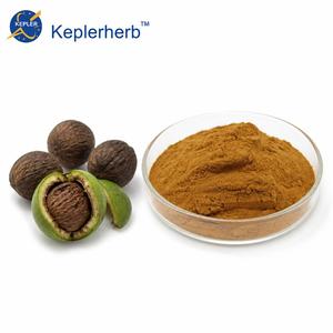 Poudre de noix de Grenoble certifiée GMP, qualité alimentaire, extrait de feuilles de noix de Grenoble, <span class=keywords><strong>Juglans</strong></span> <span class=keywords><strong>Nigra</strong></span> - Product Image 1