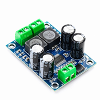 Module amplificateur audio numérique XH-M311 Mini Edition TPA3118, monocanal 60W