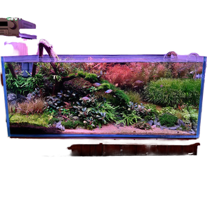 Kit <span class=keywords><strong>de</strong></span> démarrage d'<span class=keywords><strong>aquarium</strong></span> <span class=keywords><strong>nano</strong></span> <span class=keywords><strong>de</strong></span> bureau - Réservoir octogonal en verre ultra-blanc écologique 64L Pompe <span class=keywords><strong>de</strong></span> filtration Lumière <span class=keywords><strong>LED</strong></span> Tout-en-un pour - Product Image 2